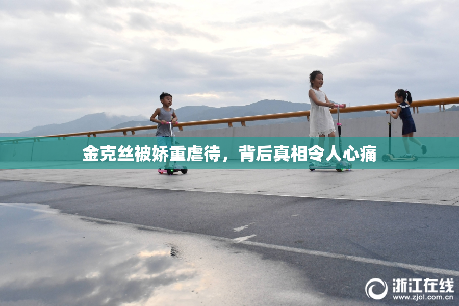 金克丝被娇重虐待，背后真相令人心痛