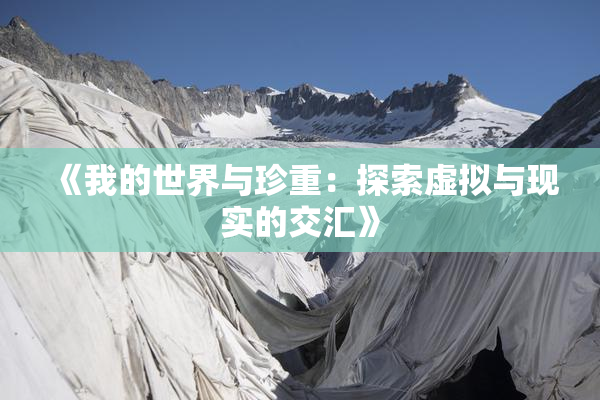 《我的世界与珍重：探索虚拟与现实的交汇》