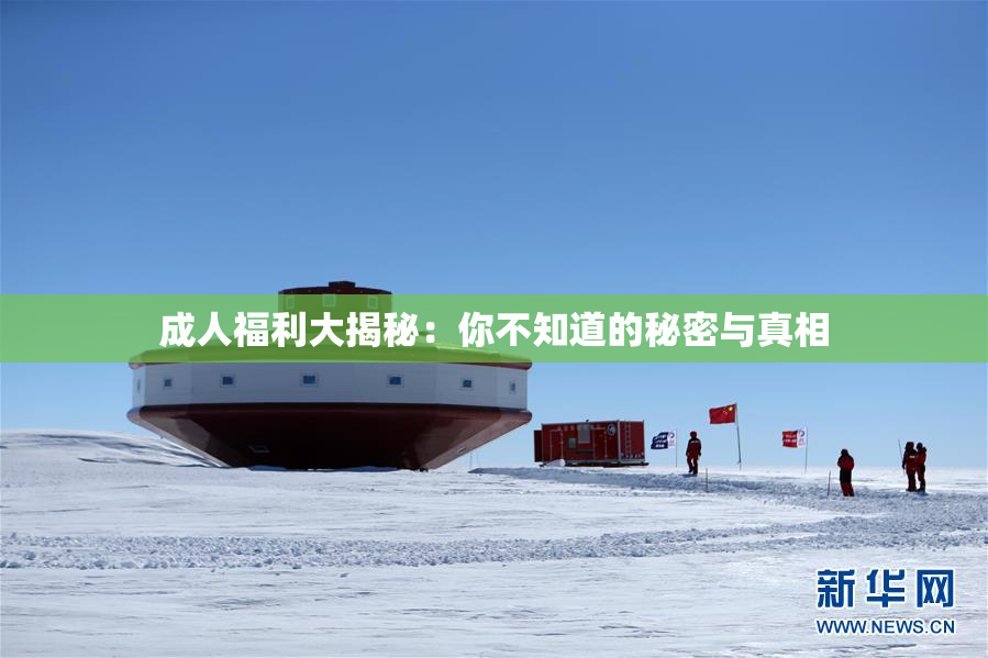成人福利大揭秘：你不知道的秘密与真相