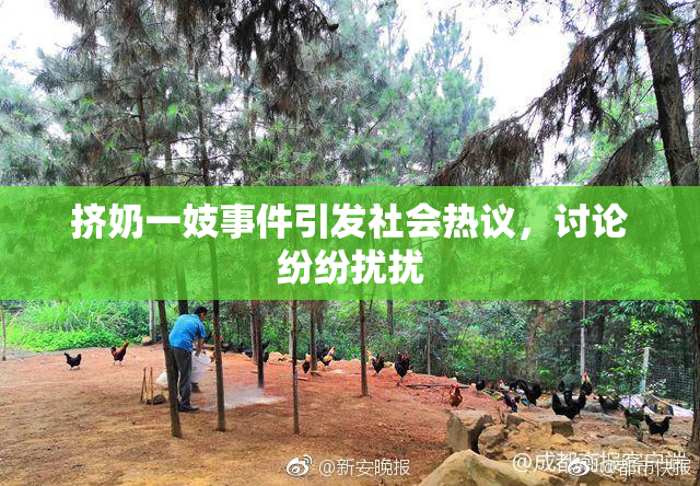 挤奶一妓事件引发社会热议，讨论纷纷扰扰
