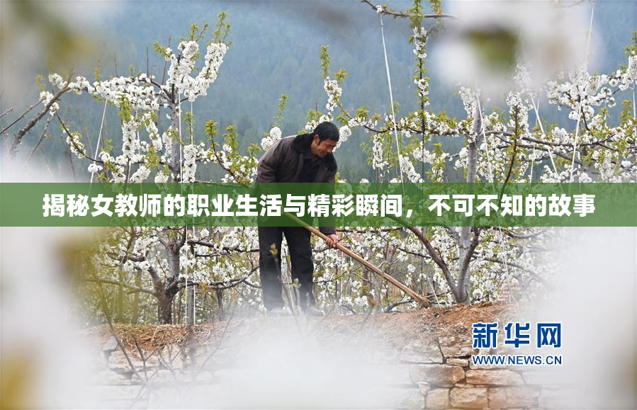 揭秘女教师的职业生活与精彩瞬间，不可不知的故事