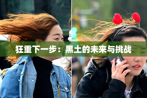 狂重下一步：黑土的未来与挑战