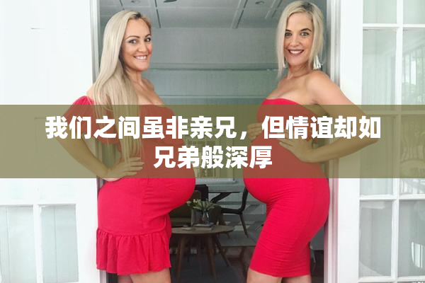 我们之间虽非亲兄，但情谊却如兄弟般深厚