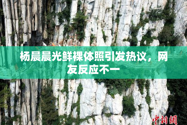 杨晨晨光鲜裸体照引发热议，网友反应不一