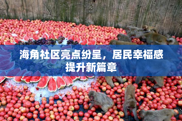 海角社区亮点纷呈，居民幸福感提升新篇章