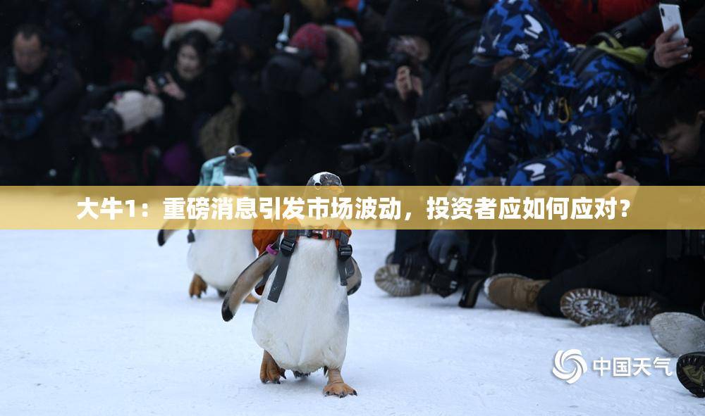 大牛1：重磅消息引发市场波动，投资者应如何应对？