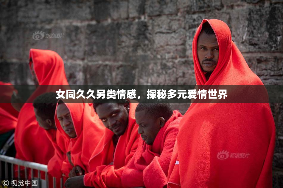 女同久久另类情感，探秘多元爱情世界