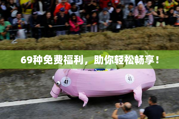 69种免费福利，助你轻松畅享！
