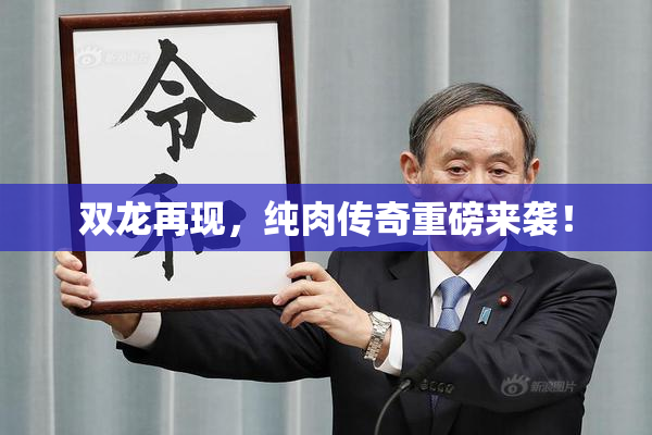 双龙再现，纯肉传奇重磅来袭！