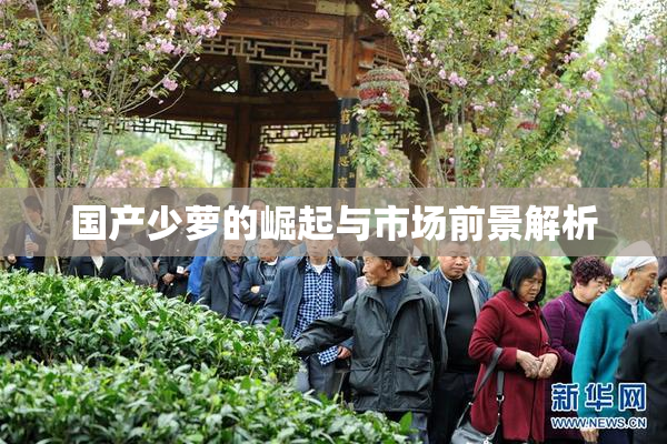 国产少萝的崛起与市场前景解析