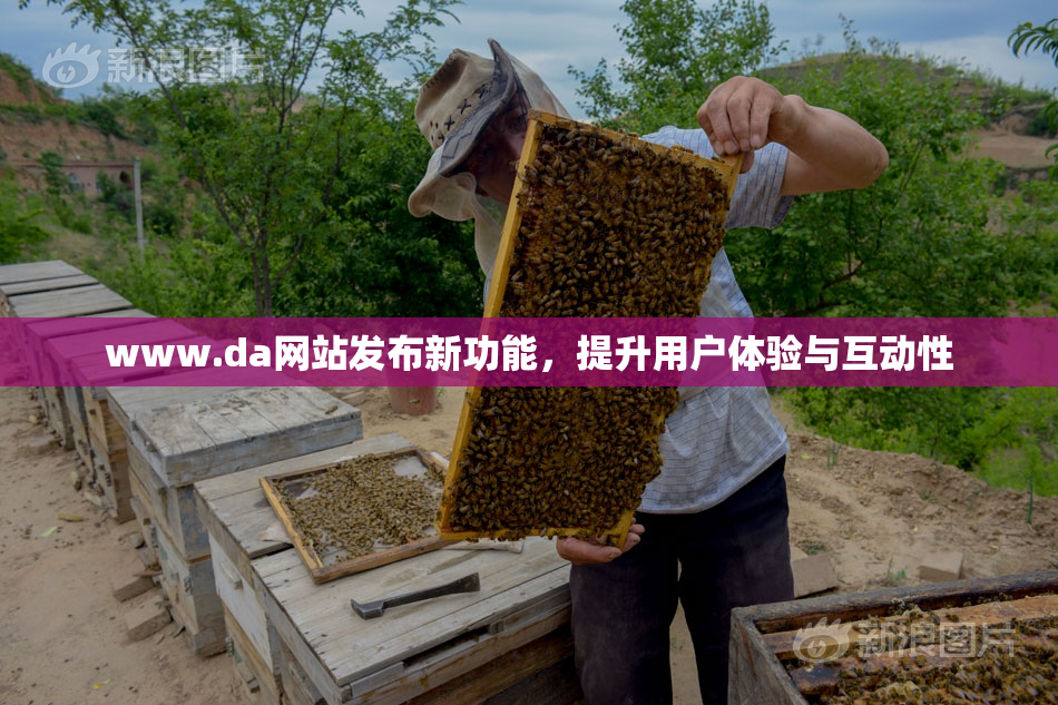 www.da网站发布新功能，提升用户体验与互动性