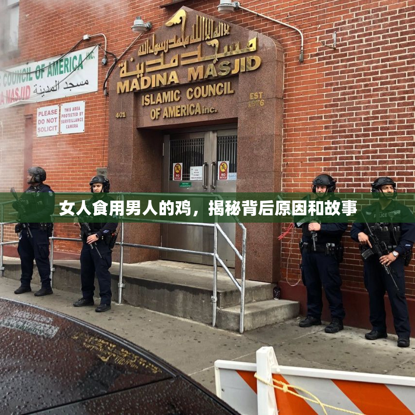 女人食用男人的鸡，揭秘背后原因和故事