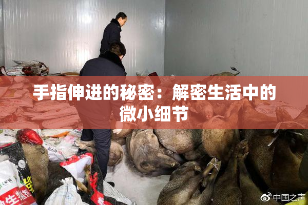 手指伸进的秘密：解密生活中的微小细节