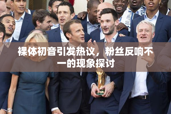 裸体初音引发热议，粉丝反响不一的现象探讨