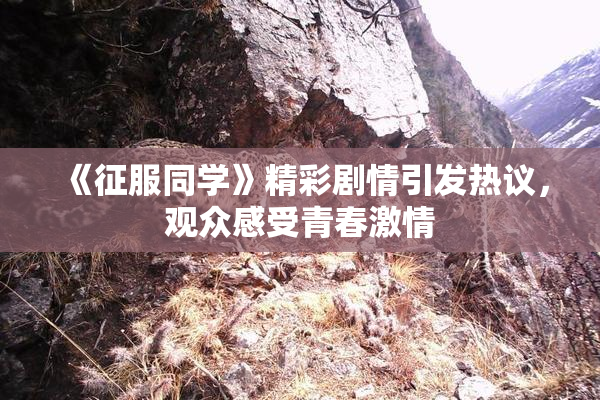《征服同学》精彩剧情引发热议，观众感受青春激情