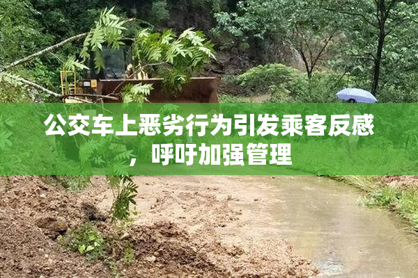 公交车上恶劣行为引发乘客反感，呼吁加强管理