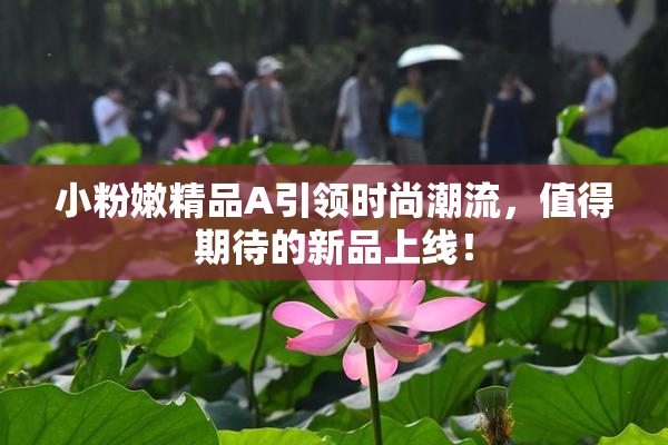 小粉嫩精品A引领时尚潮流，值得期待的新品上线！