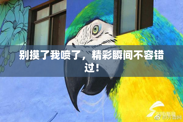 别摸了我喷了，精彩瞬间不容错过！