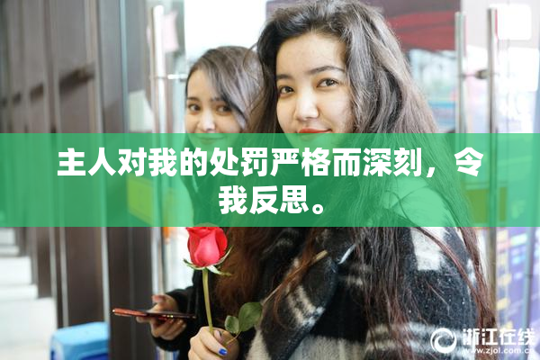 主人对我的处罚严格而深刻，令我反思。