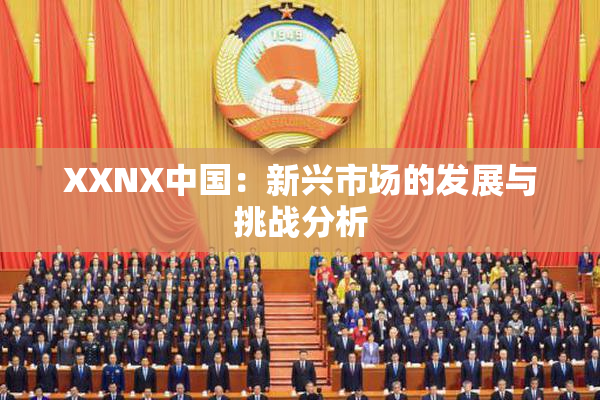 XXNX中国：新兴市场的发展与挑战分析