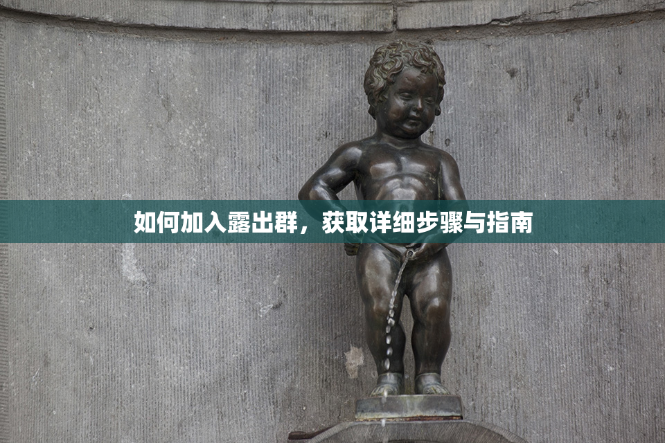 如何加入露出群，获取详细步骤与指南