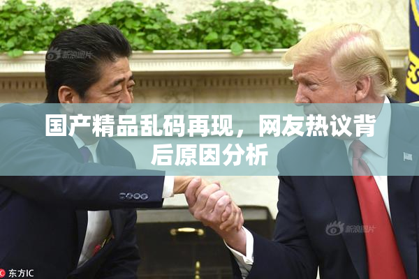 国产精品乱码再现，网友热议背后原因分析