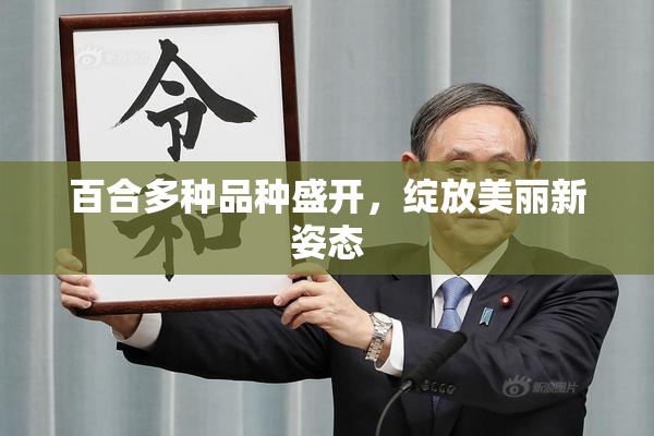 百合多种品种盛开，绽放美丽新姿态