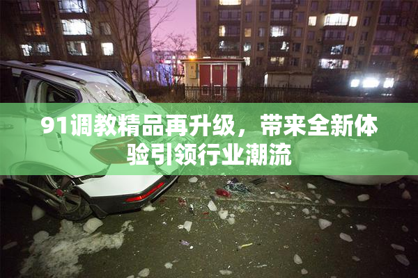 91调教精品再升级，带来全新体验引领行业潮流