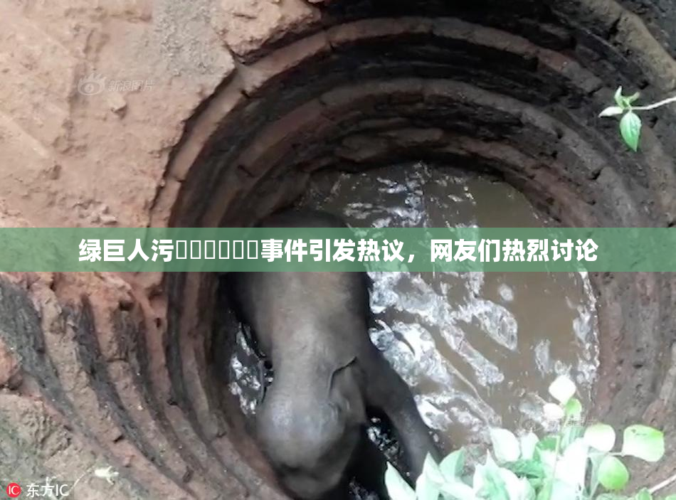 绿巨人污❌‌❌‌❌‌事件引发热议，网友们热烈讨论