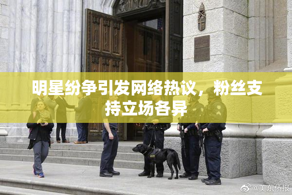 明星纷争引发网络热议，粉丝支持立场各异
