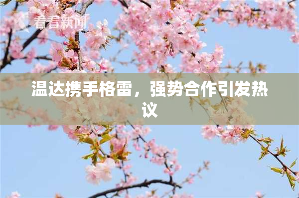 温达携手格雷，强势合作引发热议