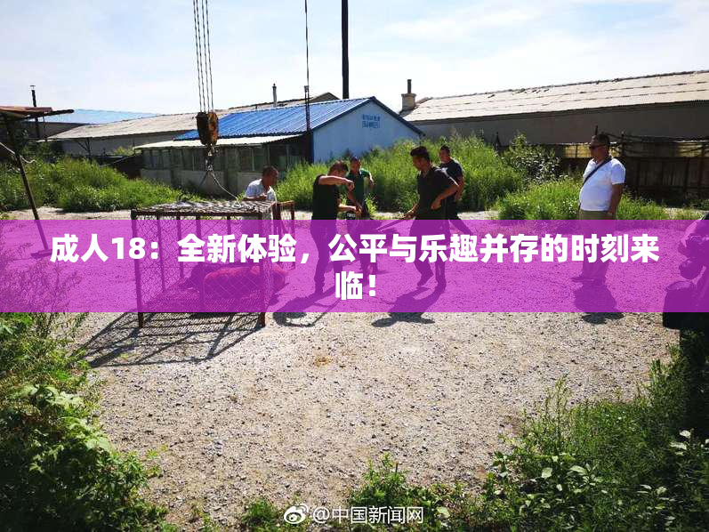 成人18：全新体验，公平与乐趣并存的时刻来临！