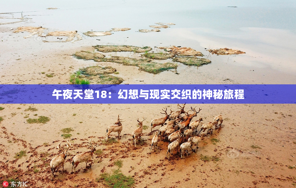 午夜天堂18：幻想与现实交织的神秘旅程