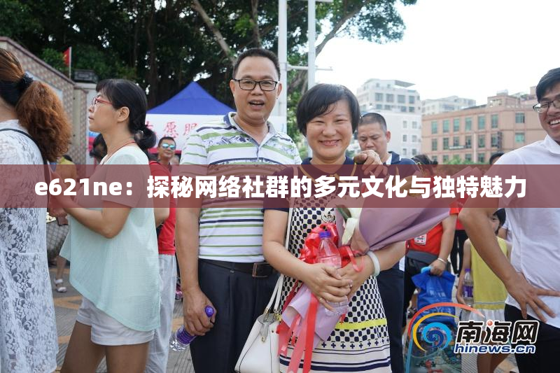 e621ne：探秘网络社群的多元文化与独特魅力