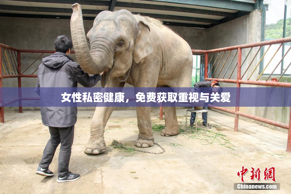 女性私密健康，免费获取重视与关爱