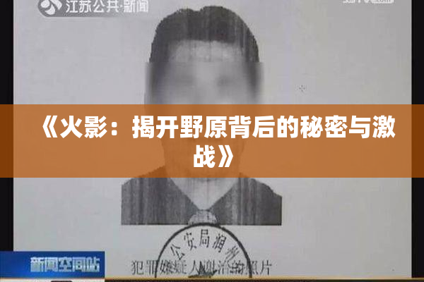 《火影：揭开野原背后的秘密与激战》