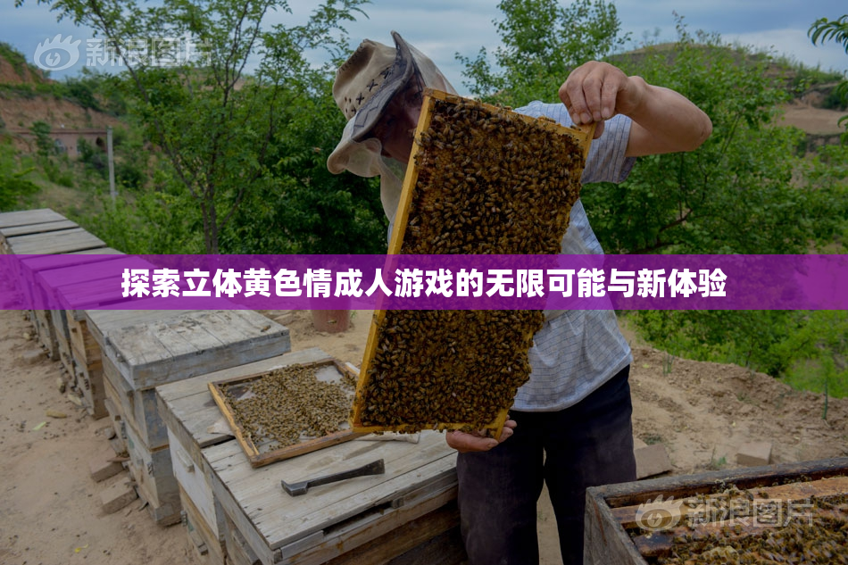 探索立体黄色情成人游戏的无限可能与新体验