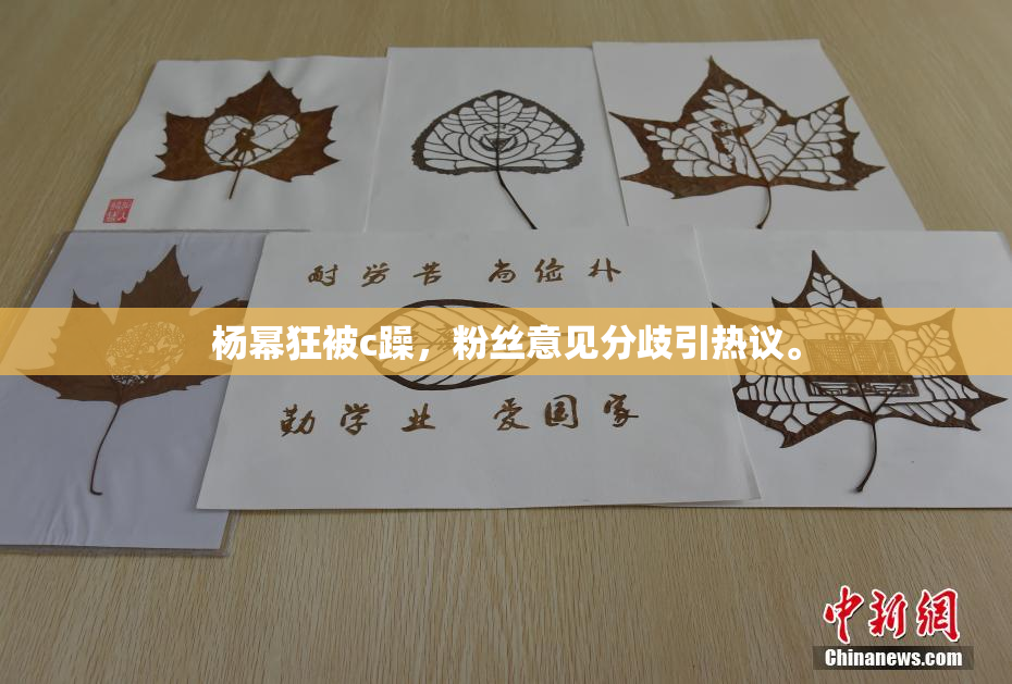 杨幂狂被c躁，粉丝意见分歧引热议。
