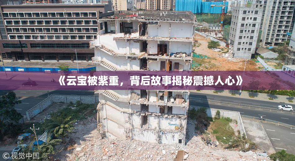 《云宝被紫重，背后故事揭秘震撼人心》