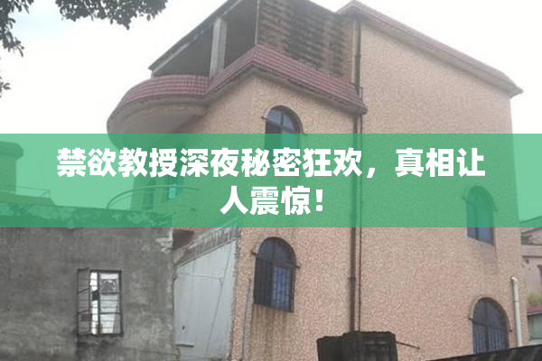 禁欲教授深夜秘密狂欢，真相让人震惊！