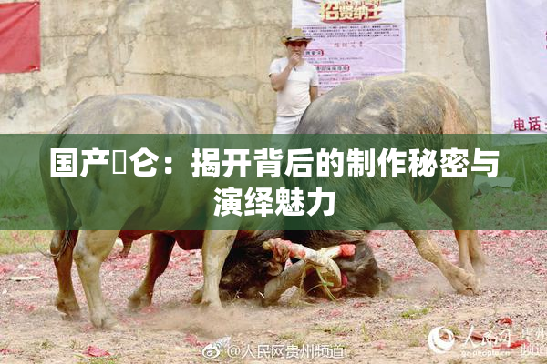 国产婬仑：揭开背后的制作秘密与演绎魅力