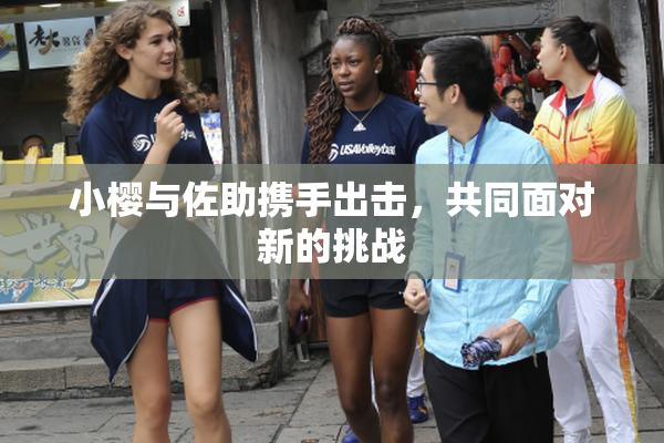 小樱与佐助携手出击，共同面对新的挑战