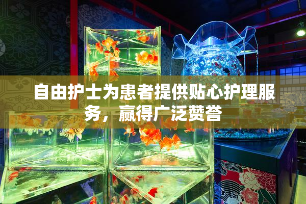 自由护士为患者提供贴心护理服务，赢得广泛赞誉