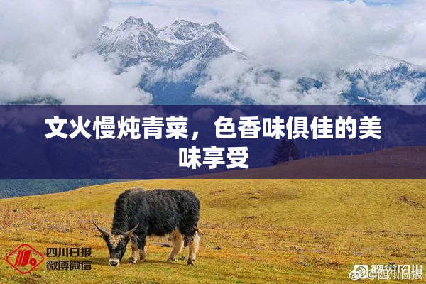 文火慢炖青菜，色香味俱佳的美味享受