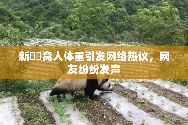 新妺妺窝人体重引发网络热议，网友纷纷发声