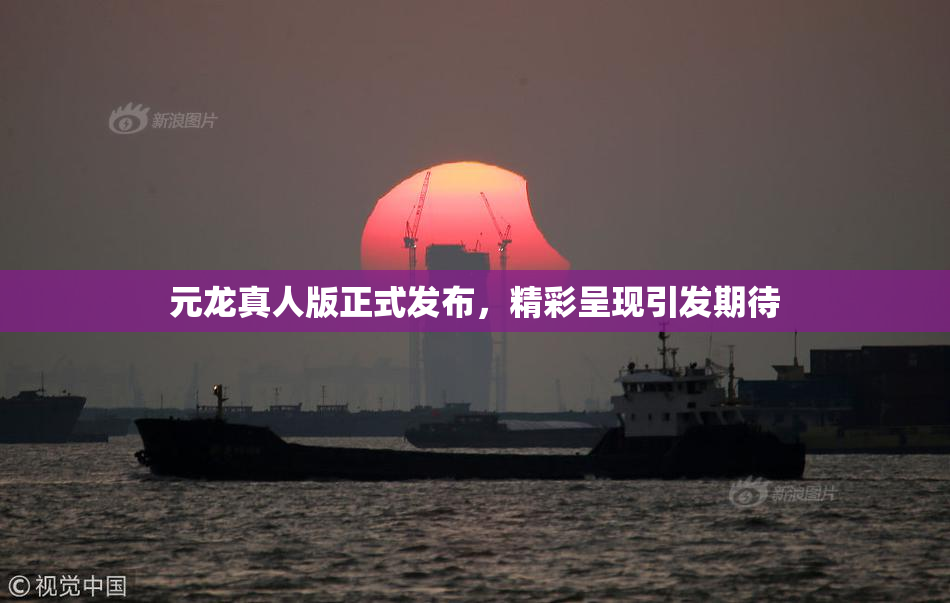 元龙真人版正式发布，精彩呈现引发期待