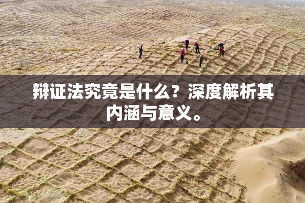 辩证法究竟是什么？深度解析其内涵与意义。