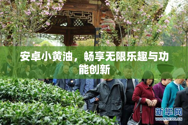 安卓小黄油，畅享无限乐趣与功能创新