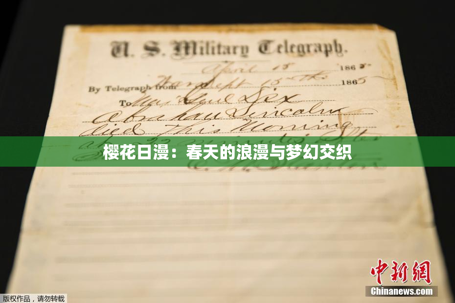 樱花日漫：春天的浪漫与梦幻交织
