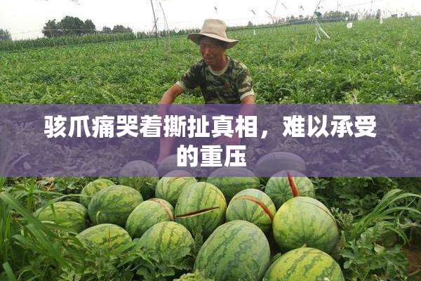 骇爪痛哭着撕扯真相，难以承受的重压